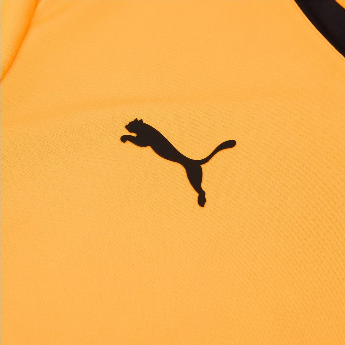 2024-25 Galatasaray SK 1a Equipacion