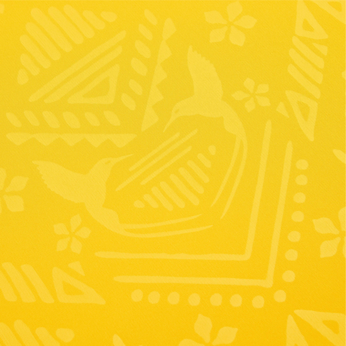 2024 Jamaica 1a Equipacion