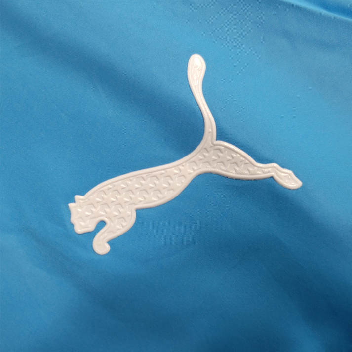 Kawasaki Frontale Cortavientos