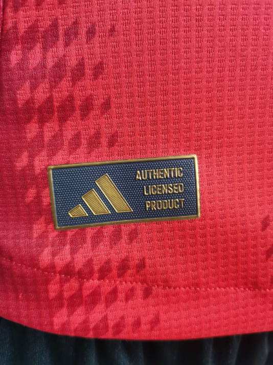 2024-25 Bayern München 1a Equipacion