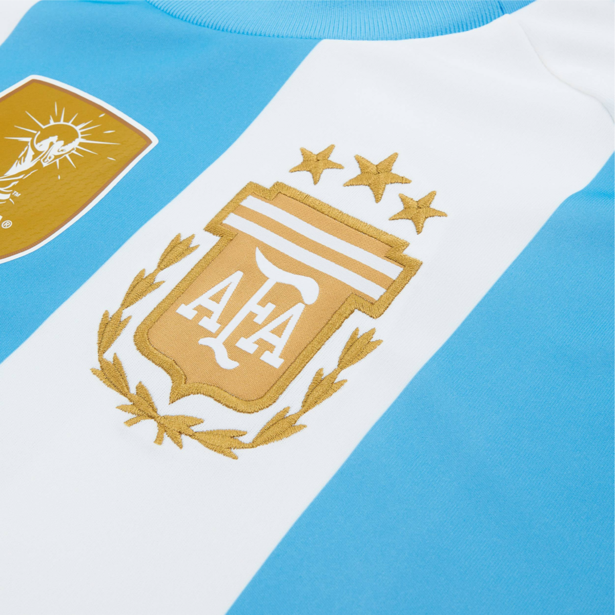 2024 Argentina 1a Equipacion