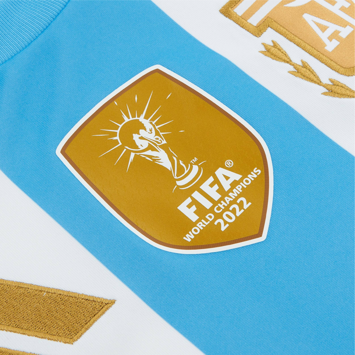 2024 Argentina 1a Equipacion