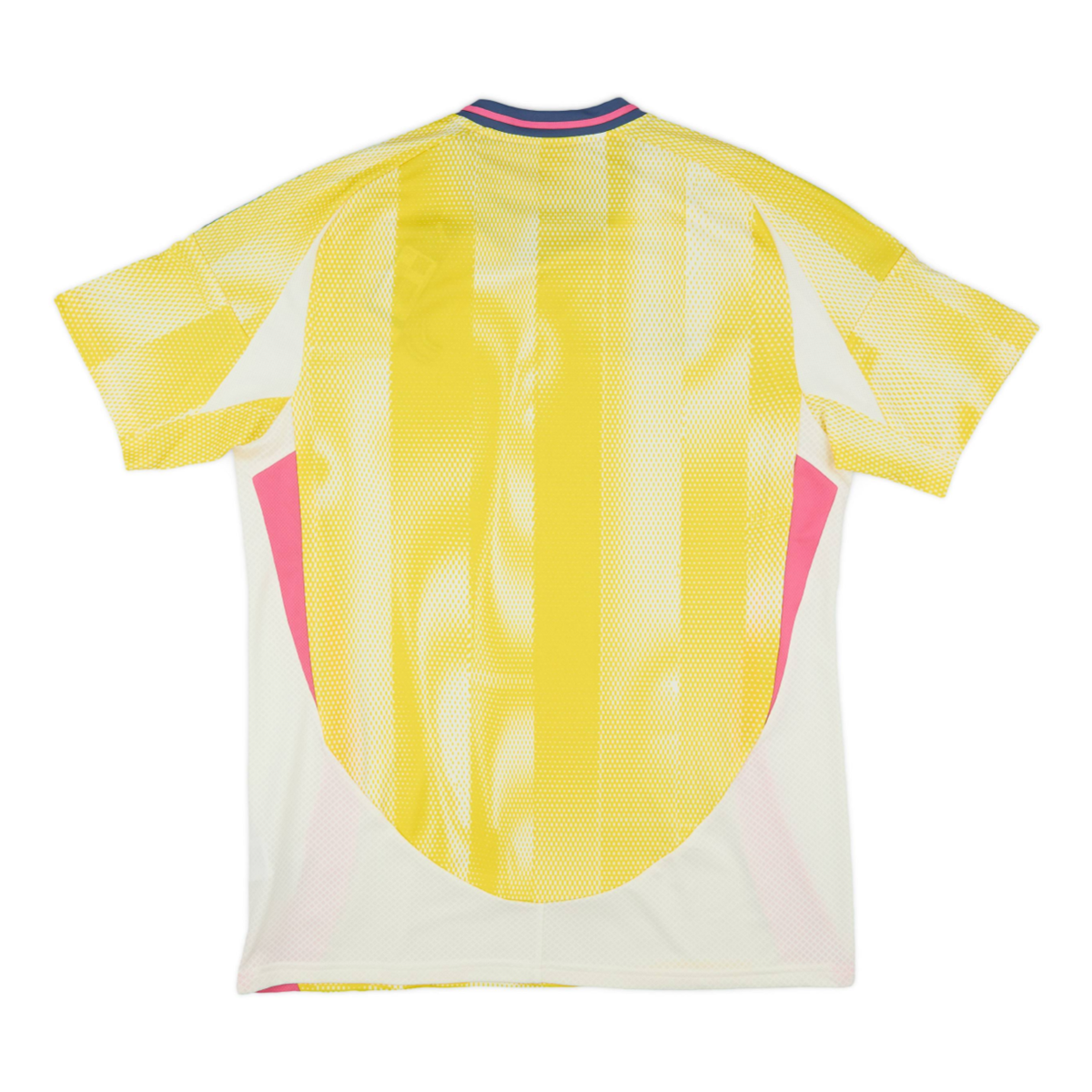 2024-25 Juventus FC 2a Equipacion