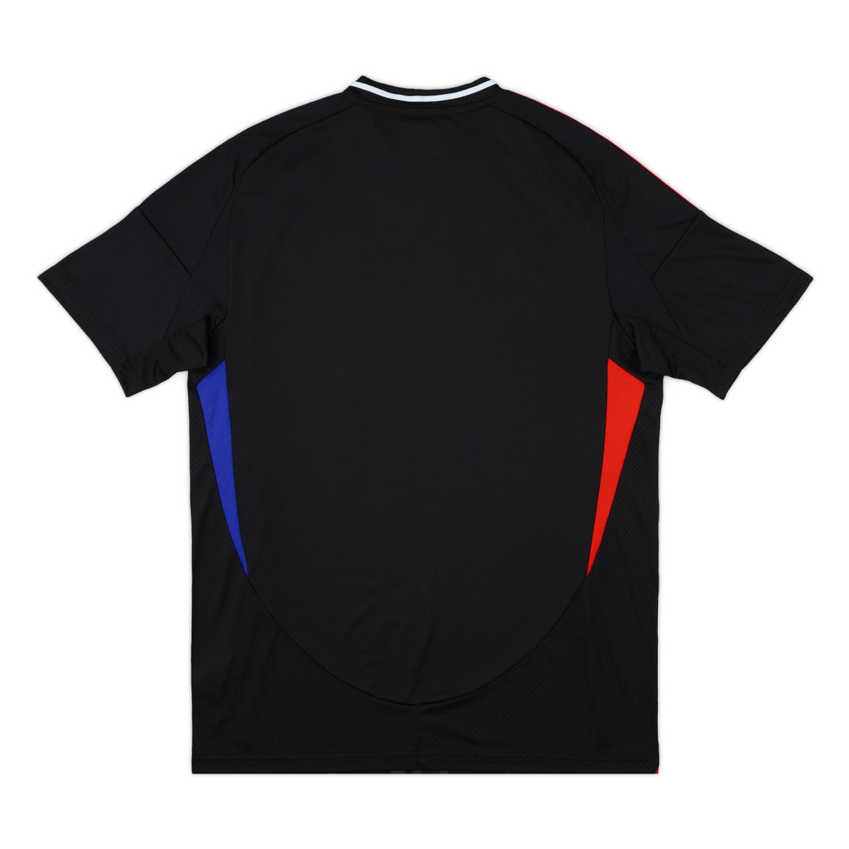 2024-25 Olympique Lyonnais 2a Equipacion