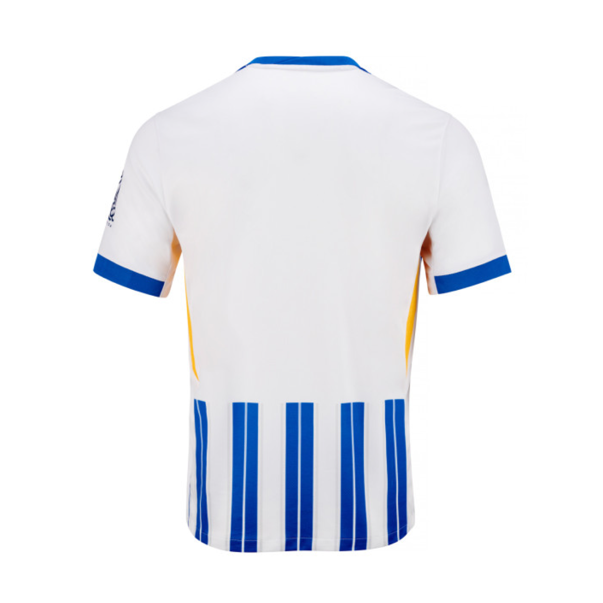 2024-25 Brighton & Hove Albion FC 1a Equipacion
