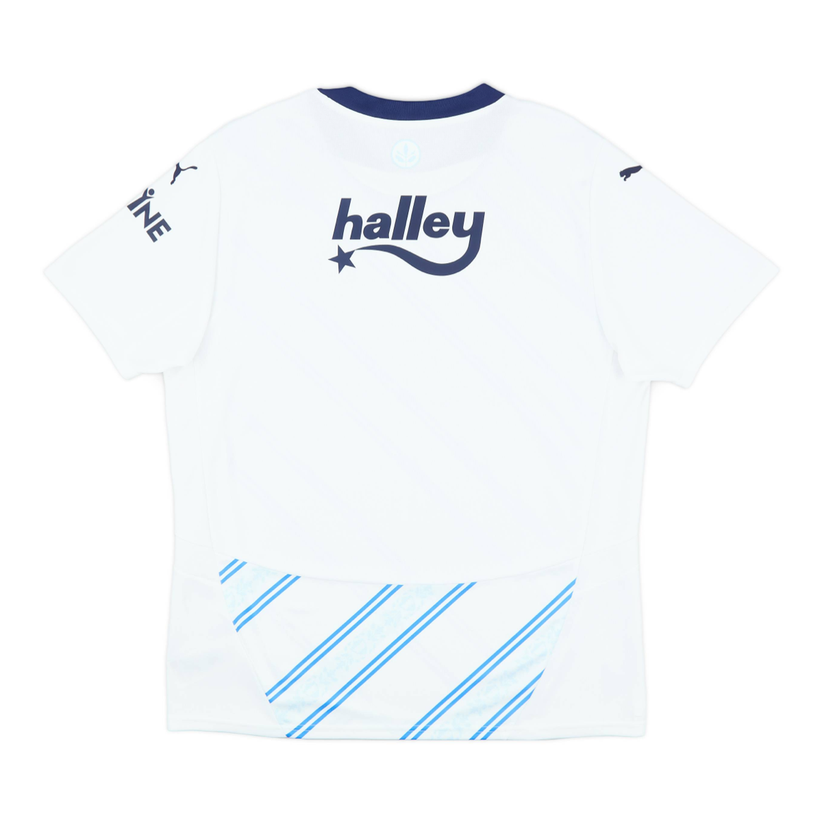 2024-25 Fenerbahçe SK 2a Equipacion