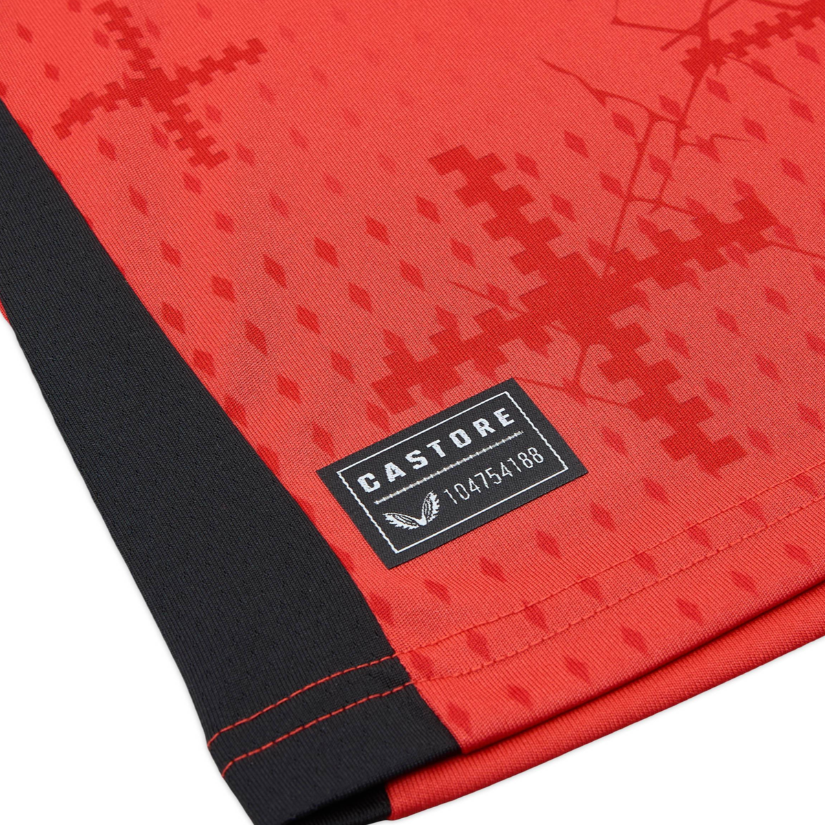 2024-25 Bayer 04 Leverkusen 1a Equipacion