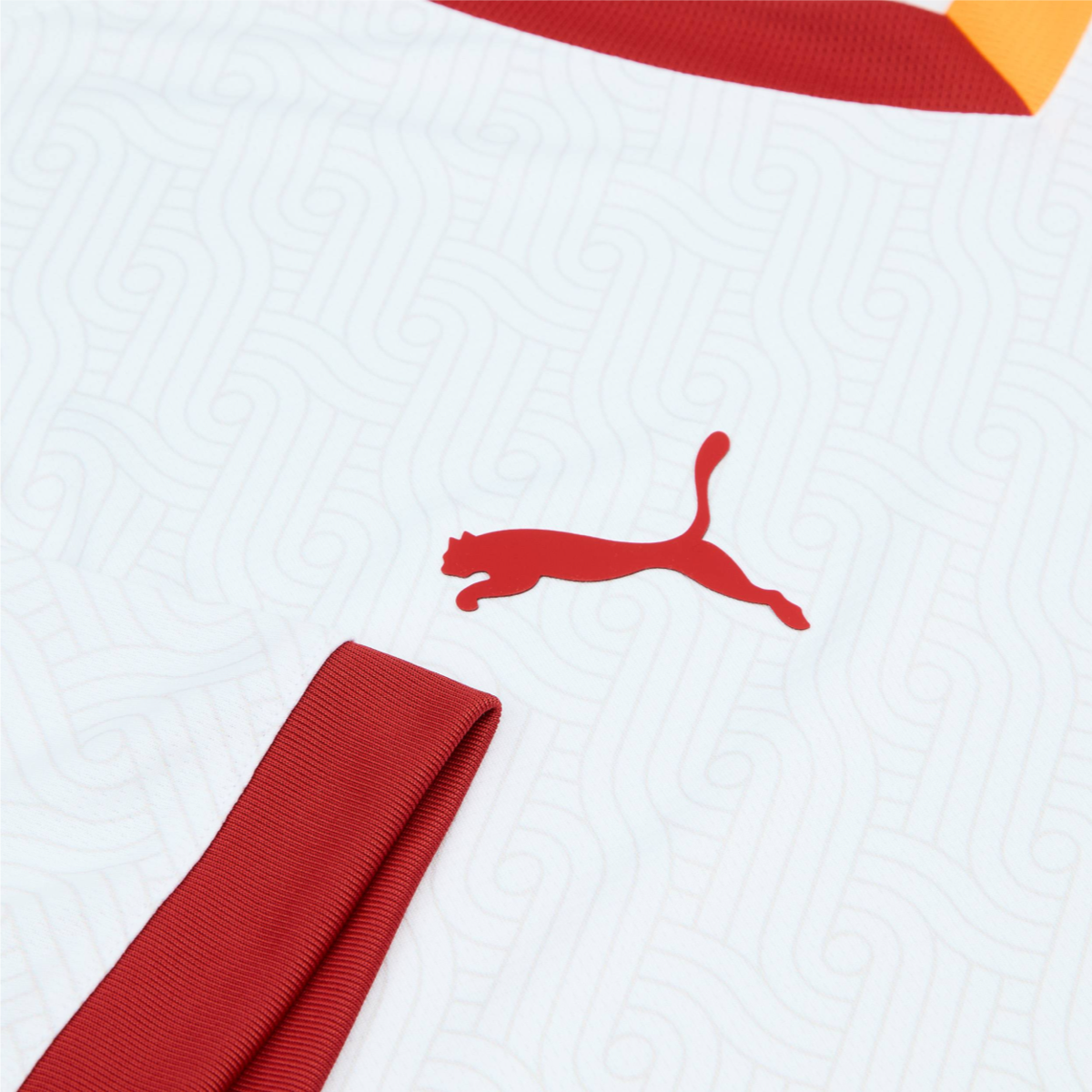 2024-25 Galatasaray SK 2a Equipacion