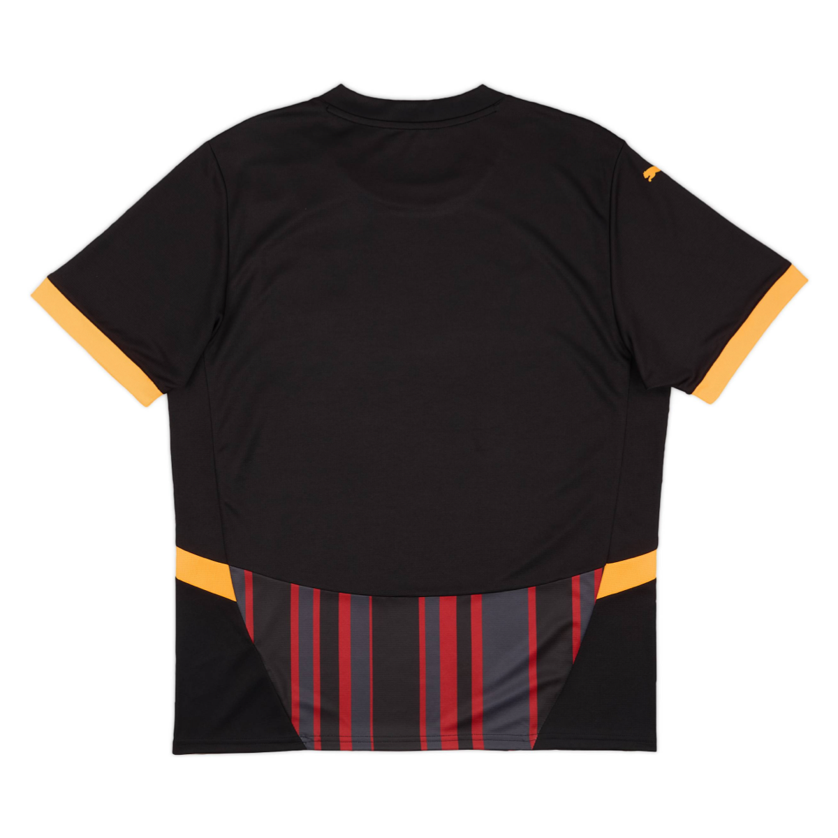 2024-25 Galatasaray SK 3a Equipacion