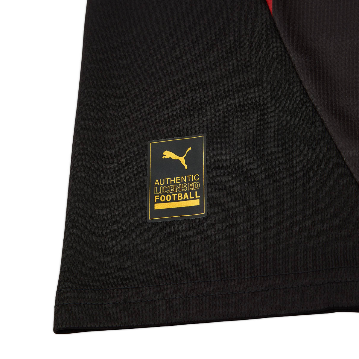 2024-25 Galatasaray SK 3a Equipacion