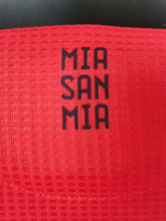 2024-25 Bayern München 1a Equipacion