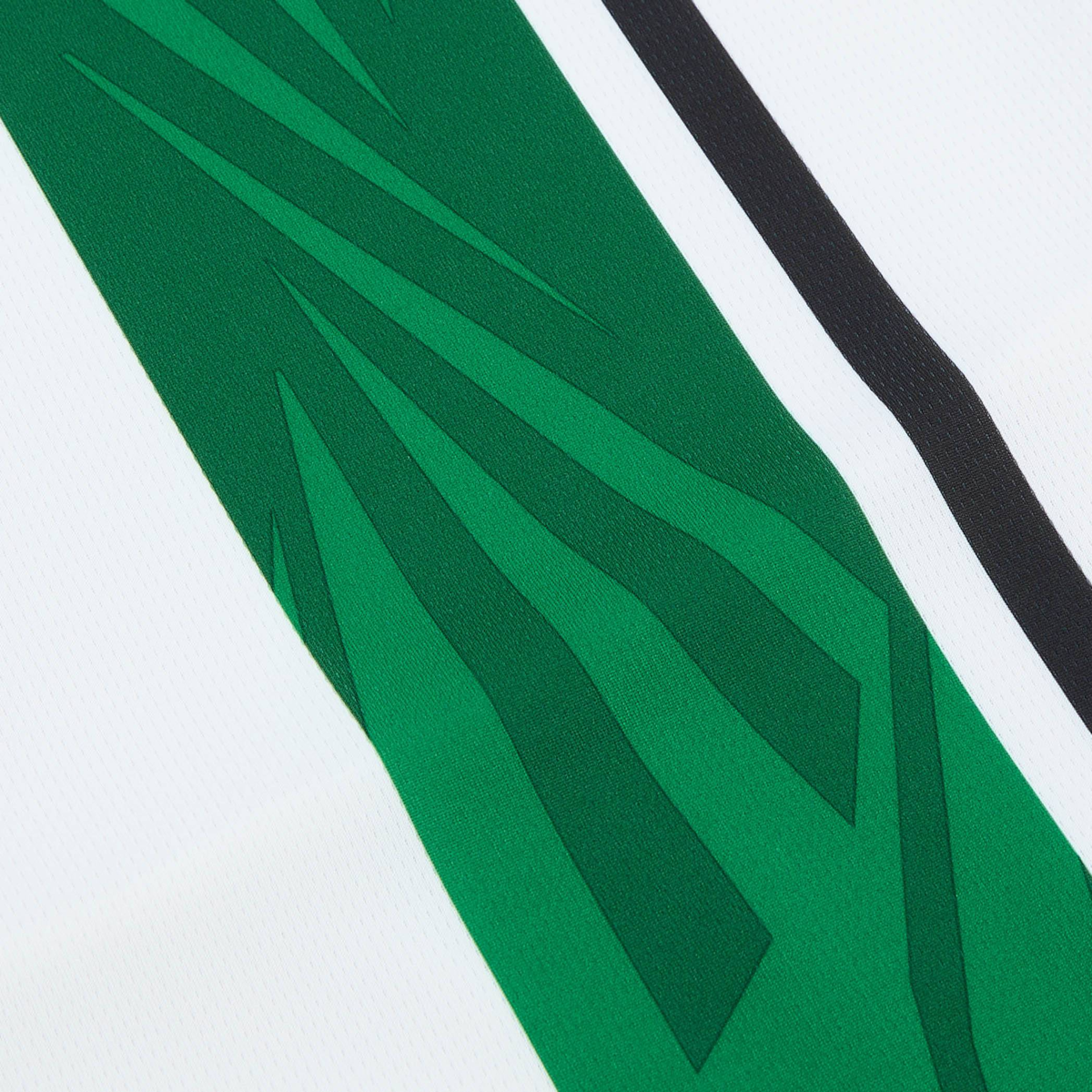 2024-25 Borussia Mönchengladbach 1a Equipacion