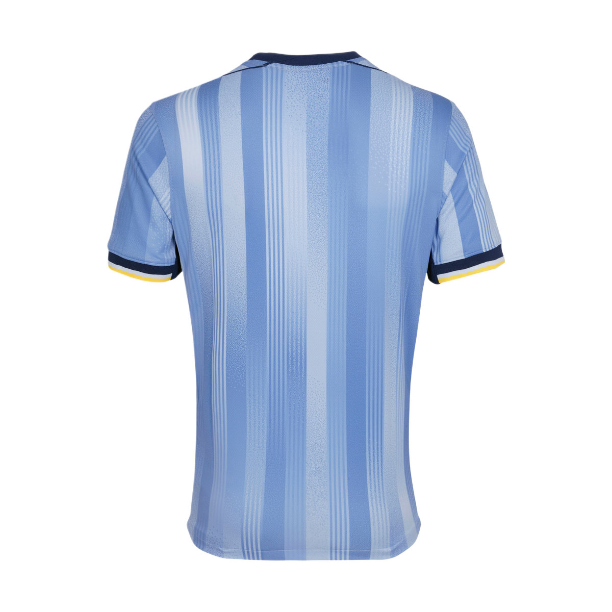 2024-25 Tottenham Hotspur FC 2a Equipacion