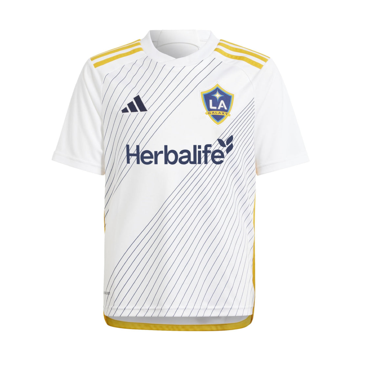 2024-25 LA Galaxy 1a Equipacion