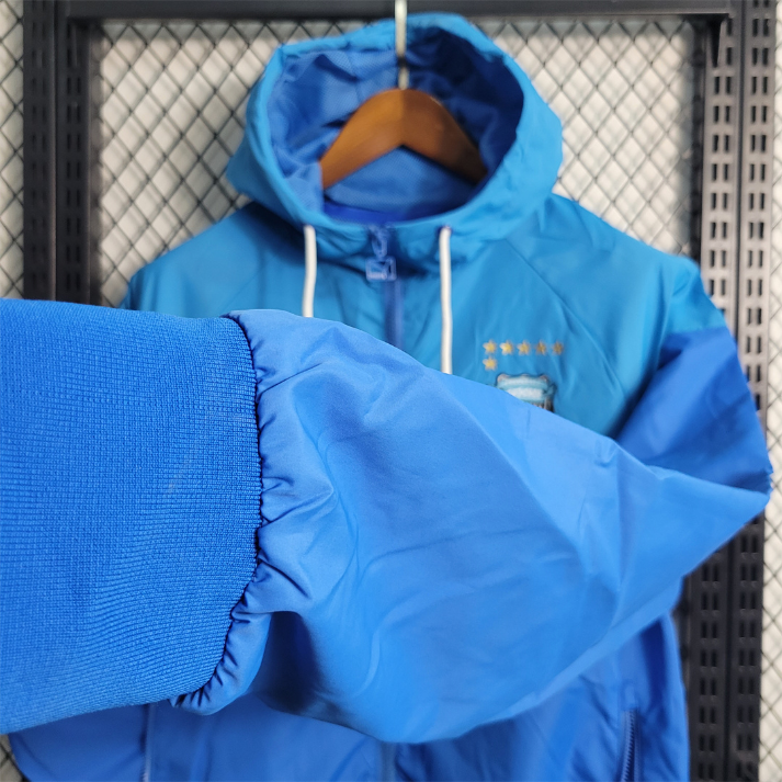 Kawasaki Frontale Cortavientos