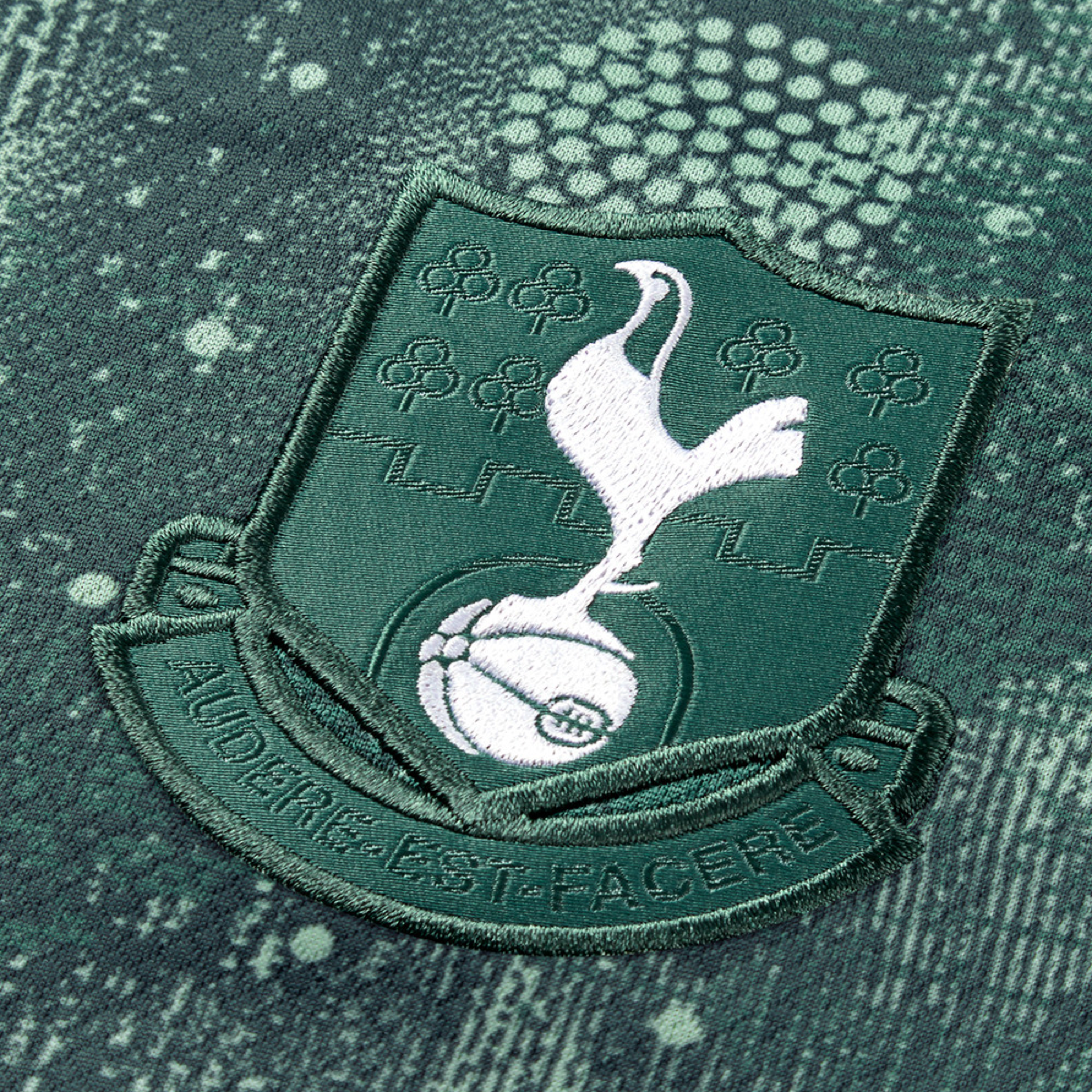 2024-25 Tottenham Hotspur FC 3a Equipacion